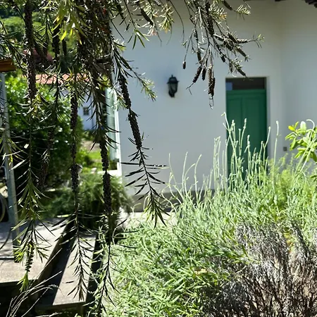 Casa Del Custode: Renovated Flat With Garden In A Near The Διαμέρισμα *